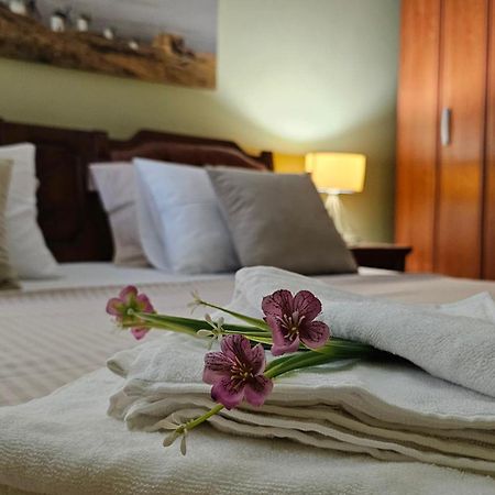 Lalovina Apartment Herceg Novi Eksteriør bilde